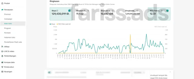Screenshot dashboard TikTok Ads, Client 8